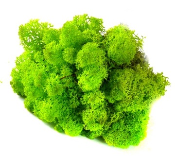 Mech CHROBOTEK RENIFEROWY 200g spring green