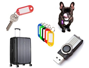 Брелок-кулон бейдж для ключей STRONG микс цветов 10 шт.