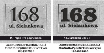 Табличка адресная для дома 3Д 20х30 ЦВЕТА