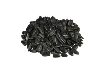 SŁONECZNIK CZARNY 1kg