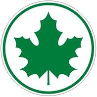 2 X ZIELONY LISTEK POCZĄTKUJĄCY KIEROWCA + BONUS