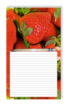NOTES Z MAGNESEM NA LODÓWKĘ MAGNES OŁÓWEK 1szt