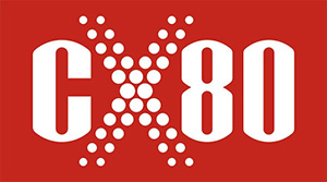 CX80 СИЛИКОНОВАЯ СМАЗКА ДЛЯ ПЛАСТМАСС И РЕЗИНЫ