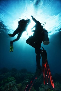 ласты TUSA WALLHOE SOLLA FF'23 M 40-41 BL