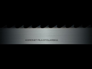 ЛЕНТОЧНАЯ ПИЛА 10x0,6x2400 ROH