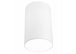 Nowodvorski Lampa plafon CAMERON white ⌀30 9685