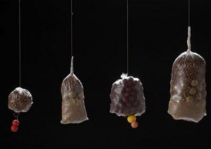 Сетчатые пакеты из ПВА Самовысыхающие пакеты для приманки 50x110мм 25шт