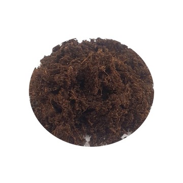 БАЗОВЫЙ НАБОР для леса в баночке МИКРОКЛИМАТ