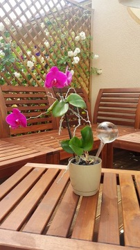 AQUA GLOBES ШАРЫ ДЛЯ ИРРИГАЦИИ СТЕКЛЯННЫЕ 9см РУЧНАЯ РАБОТА СЛЕДУЮЩИЙ