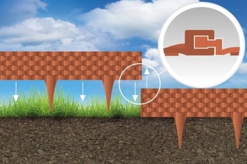 КОРИЧНЕВЫЙ РОТИНОВЫЙ САДОВЫЙ ЧАЛИСАД, ВЫСОКИЙ БОРДЕР