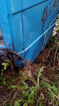 Салон Мерседес Варио