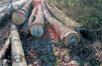 МАРКЕР УНИВЕРСАЛЬНЫЙ краска для дерева 1 шт/500 мл