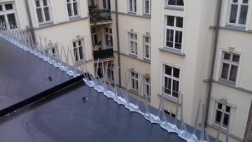 ШИП ИЗ ПОЛИКАРБОНАТА ДЛЯ ПТИЦ, ГОЛУБЕЙ, 4 ЦВЕТА