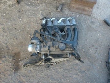 Audi A3 8L 1,8 AGN kolektor ssacy