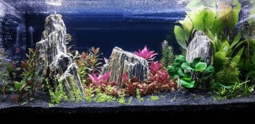 КАМЕНЬ Окаменелый древесный ДЛЯ АКВАРИУМНОЙ КОРЫ 15 КГ