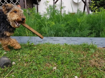 Частокол КАМЕНЬ АНТРАЦИТ, декор