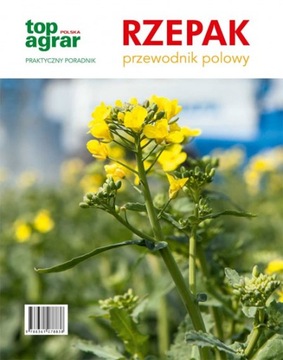Rzepak przewodnik polowy uprawa rzepaku zbiór