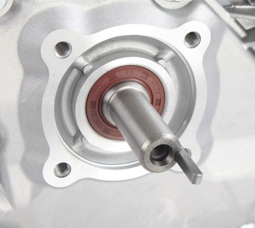 ДВИГАТЕЛЬ GX160 7HP ДЛЯ УПЛОТНЕНИЯ ГЕНЕРАТОРА, вал 19 мм