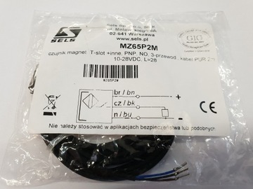 МАГНИТНЫЙ ДАТЧИК MZ65P2M SELS
