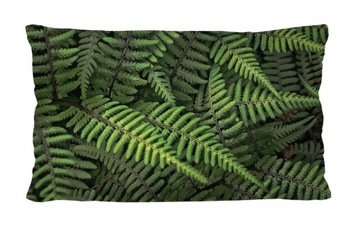 Poduszka z wkładem BERTONI 30x50 FERNS