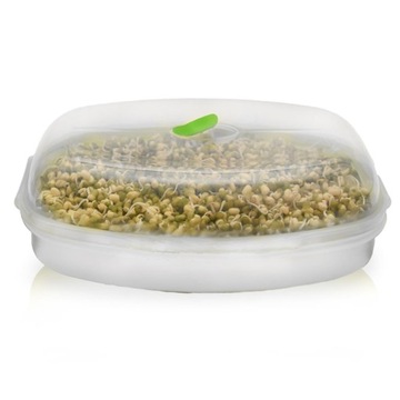 Емкость для проращивания здоровых ростков КОНТЕЙНЕР