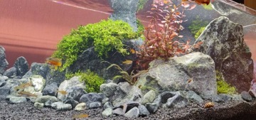 GREEN ROCK GREEN ROCK 15 кг 5-10-15-20см