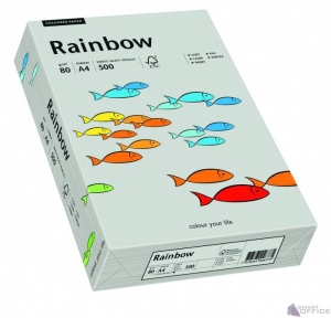PAPIER KSERO A4 KOL96 80g RAINB. SZARY(a500)