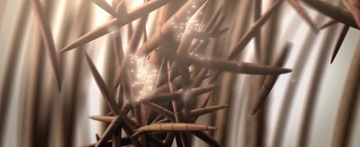 VOLUMIZ Спрей из микрофибры для экспресс-утолщения