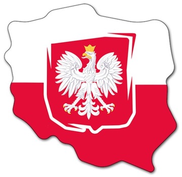 Магнитные визитки, рекламные магниты KOŁO 100 шт.