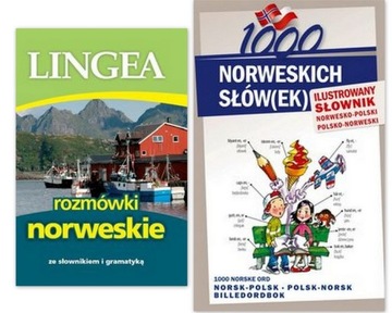 Norweski Rozmówki +1000 słów(ek) ilustrowany sł.