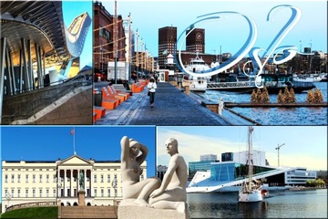 NORWEGIA OSLO SKOCZNIA MAGNES MAGNESY NA LODÓWKĘ