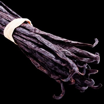 YODEYMA ADRIANA духи 50мл