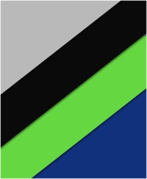 Шоссейные велосипедные туфли BONT RIOT+ BOA, ЧЕРНЫЕ, размер 42