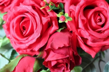 Любимым родителям - Сердце с посвящением Розам 50x50