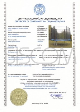 САДОВЫЙ батут 312 СМ, 10 ФУТОВ СЕТКА + ЛЕСТНИЦА