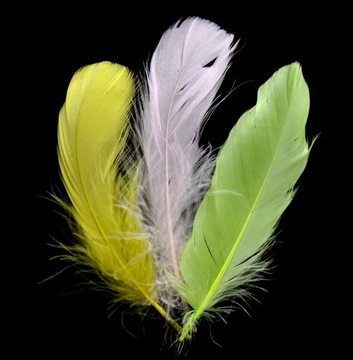 ПЕРО 200 шт настоящие ЦВЕТНЫЕ РОЖДЕСТВЕНСКИЕ