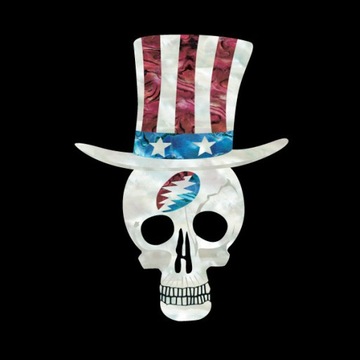 Naklejka na KORPUS GITARY - Cylinder Jerry Garcia