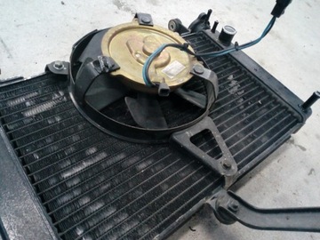 YAMAHA YZF 600 THUNDERCAT ВОДЯНОЙ ВЕНТИЛЯТОР РАДИАТОРА