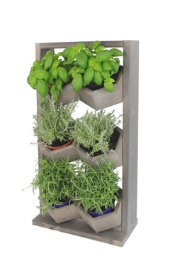 Деревянная подставка для цветов, вертикальный гербарий, стоячая трава на 6 сосновых горшков.