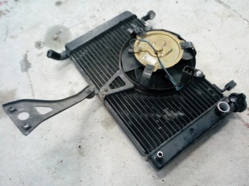 YAMAHA YZF 600 THUNDERCAT ВОДЯНОЙ ВЕНТИЛЯТОР РАДИАТОРА