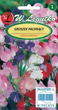 GROSZEK PACHNĄCY - MIESZANKA 5g NASIONA