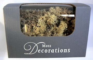 Mech chrobotek reniferowy moss natural