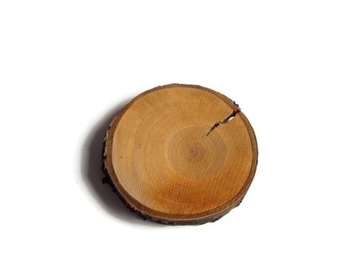 Drewniane Plastry drewna czereśnia 5-8 cm pieńki