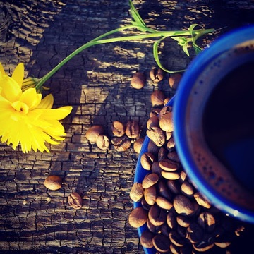 Чай черный листовой Golden Monkey ОТЛИЧНЫЙ