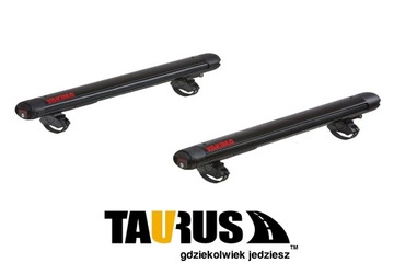 FatCat Evo 4 Черный багажник для лыж