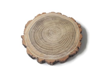 Drewniane Plastry drewna Akacja szlifowane 20-25 cm