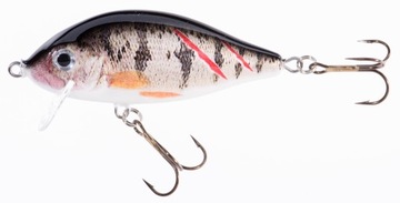 SZCZUPAKOWY KILLER- WOBLER KARAŚ SW JAXON 9cm 21g