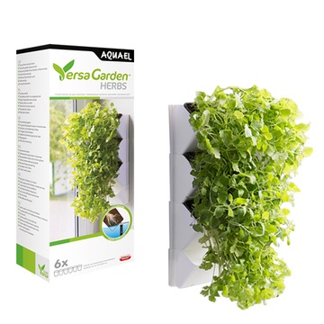 AQUAEL VERSA GARDEN HERBS ZIELONE ŚCIANY- ZIELNIK