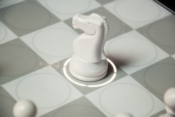 Сумка для компьютера DGT Centaur