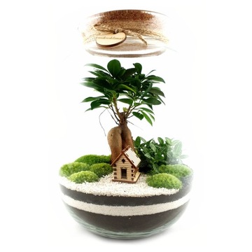 НЕОБХОДИМЫЙ НАБОР для леса в баночке МИКРОКЛИМАТ